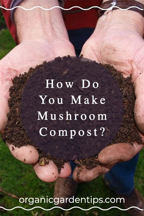 What Is Mushroom Compost And Should I Use It Mushroom Compost