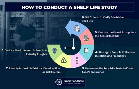 What Is Shelf Life Study At Chris Katherine Blog