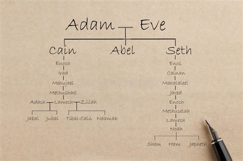 What Is The Family Tree Of Adam And Eve Christian Faith Guide