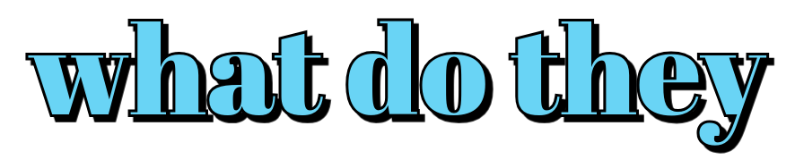 5 Facts Brazil Language