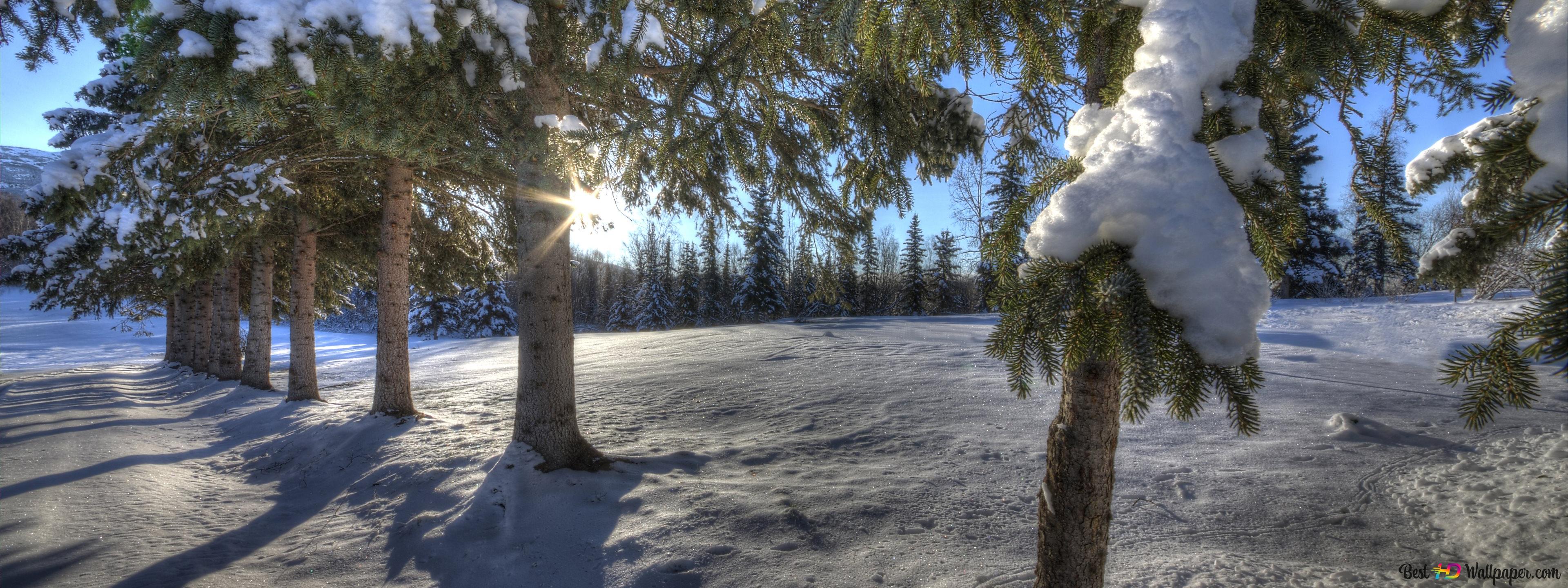 Freezing Temperature is 32 Degrees