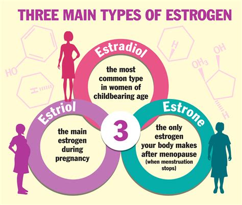What You Should Know About Estrogen 2023