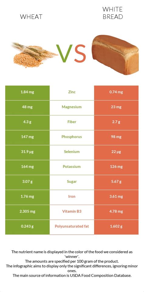 Wheat Vs White Bread In Depth Nutrition Comparison