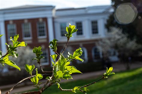 When Is Uva Spring Break 2025 Jinny Lurline