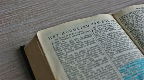 When Writing Do You Underline Book Titles Clear Guidelines Creative