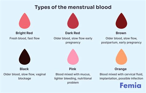 Why Is My Menses Black