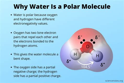 Why Is Water A Polar Molecule