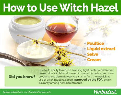 Witch Hazel Herbazest