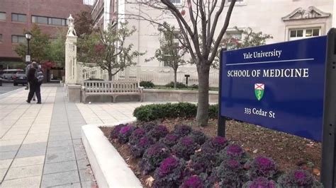 Yale Medical School Sdn 2024 Ora Virgina